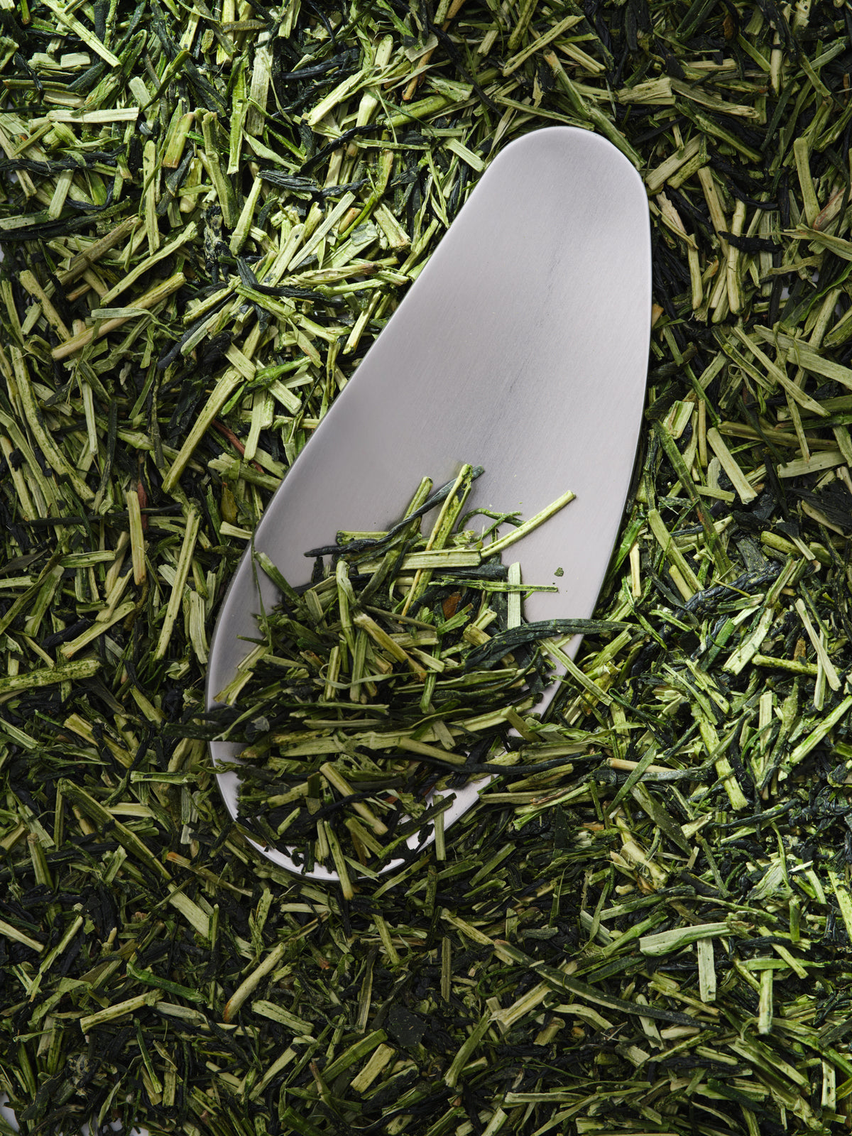 Japanese tea scoop